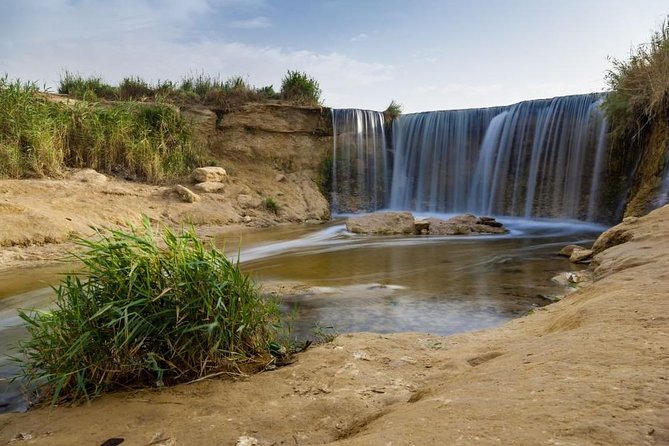 Full-Day Fayoum Oasis and Waterfalls of Wadi El-Rayan Tour From Cairo - Exploring Lake Qaruns Wildlife