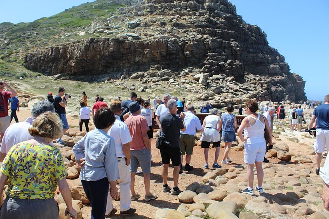 Full Day Visit to Cape Point Cape of Good Hope for Special Needs From Cape Town - Inclusions