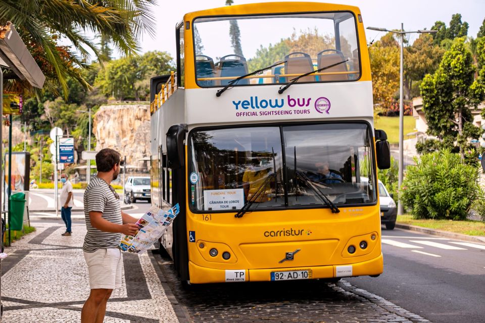 Funchal:Hop-On Hop-Off Bus & Whale & Dolphin Boat Excursion - Tour Highlights and Features