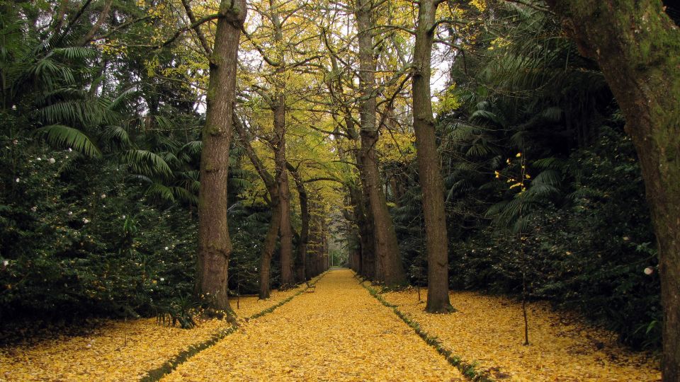 Furnas & Terra Nostra Botanic Park Guided Tour W/ Hotsprings - Sampling Local Cuisine and Dishes