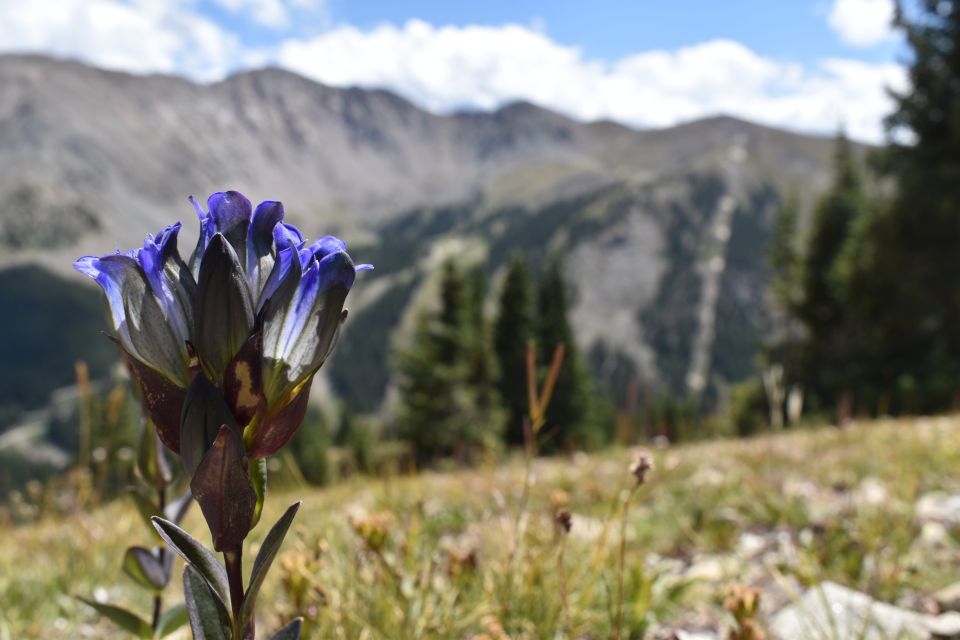 Ghost Towns of the Rockies - Highlights of the Excursion