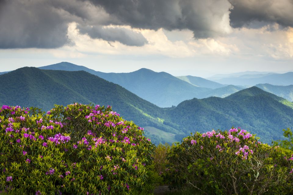 Great Smoky Mountains National Park Self-Guided Driving Tour - Itinerary and Highlights