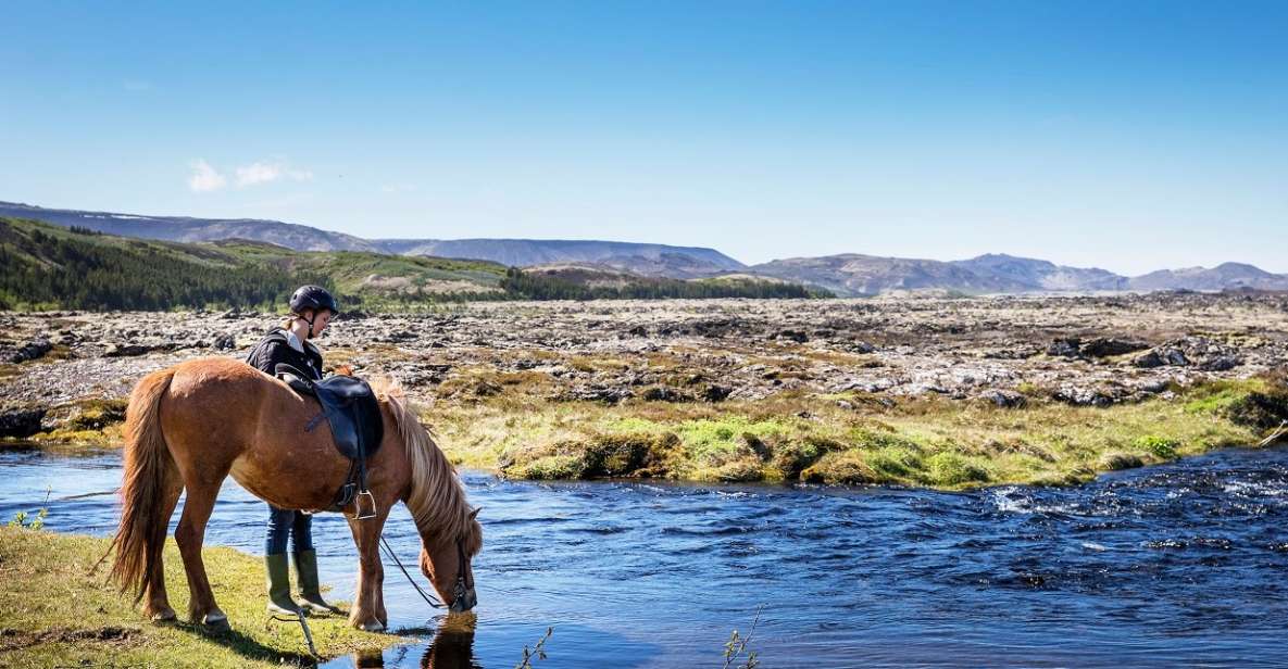 Hafnarfjörður: Horseback Riding Tour in Reykjavik Area - Highlights of the Tour