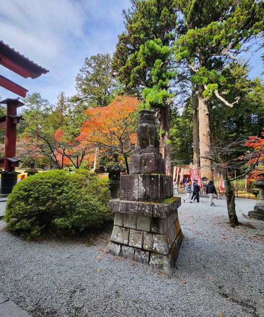 Hakone Private Day Tour With English Speaking Driver - Itinerary Options