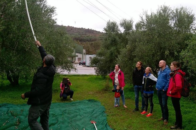 Half-Day Georgioupolis Off-Road Adventure With Meal - Cretan Livestock Farming