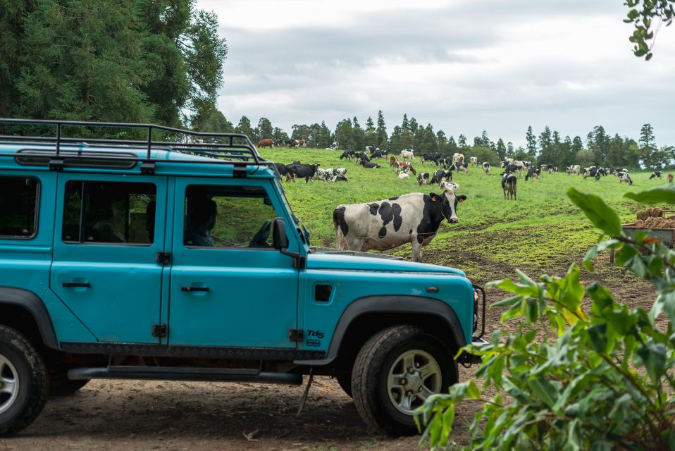 Half Day Lagoa Do Fogo 4X4 Tour and Gin Library - Experience Highlights