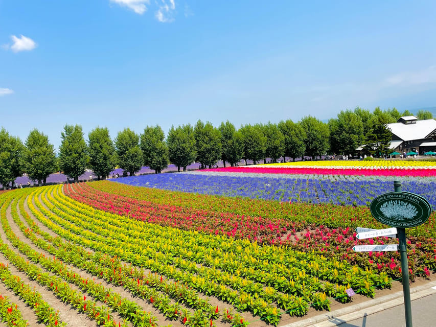 Hokkaido Furano Tomita Farm Tour With Melon Buffet Option - Itinerary and Locations