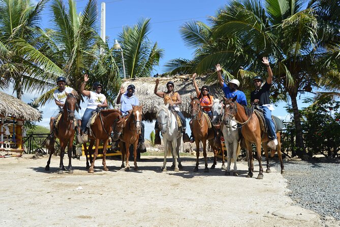 Horseback Riding Tour on the Beaches of Punta Cana - Accessibility and Participant Requirements