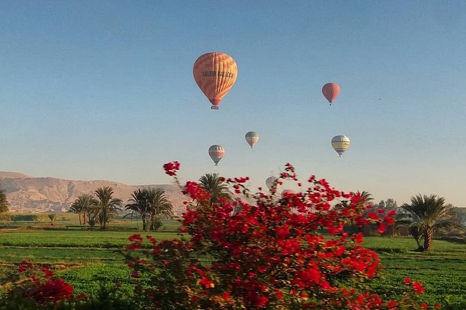 Hot Air Balloon Ride and Tour to Valley of Kings Luxor- Special Offer - Safety and Accessibility