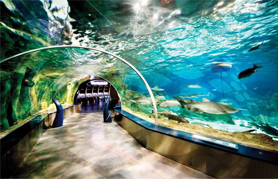 Istanbul Aquarium and Aqua Florya Shopping Mall Tour - Marine Life Highlights