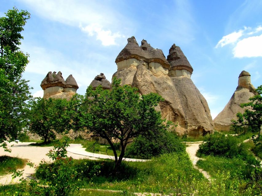 Istanbul: Cappadocia Guided Full=Day Trip by Plane - Discover Fairy Chimneys