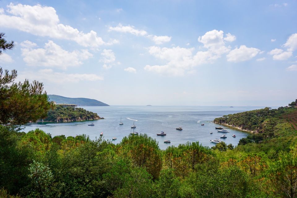 Istanbul: Princes Islands Cruise W/Music, Lunch & Transfer - Exploring the Princes Islands