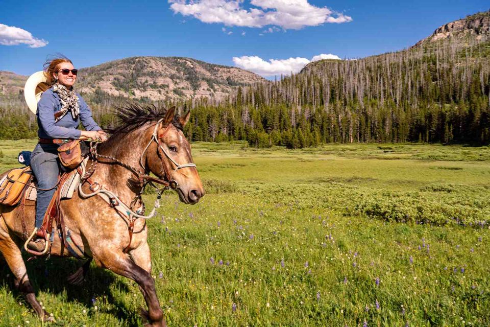 Jackson Hole: Dinner Cookout & Bridger-Teton Horseback Ride - Horseback Riding in Buffalo Valley