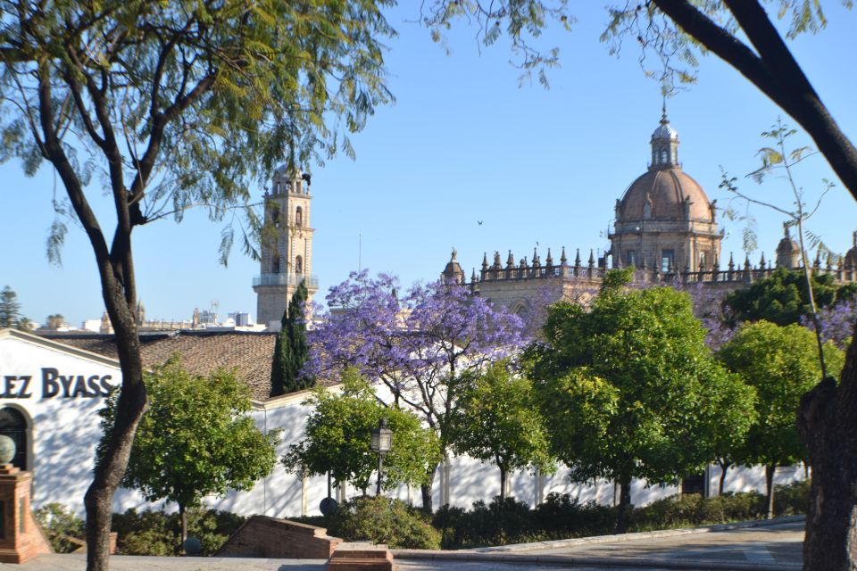 Jerez Private City Walking Tour - Cultural and Historical Significance