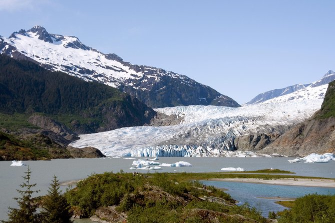 Juneau Wildlife Whale Watching & Mendenhall Glacier - Guaranteed Wildlife Sightings