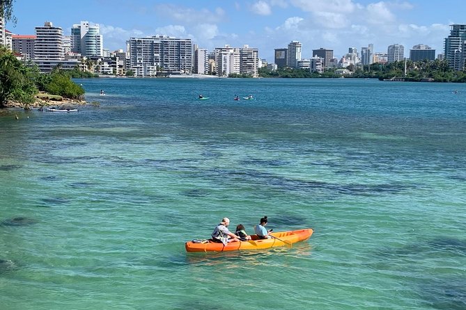 Kayak Rental Equipment at Condado Lagoon - Beginner Instruction Offered