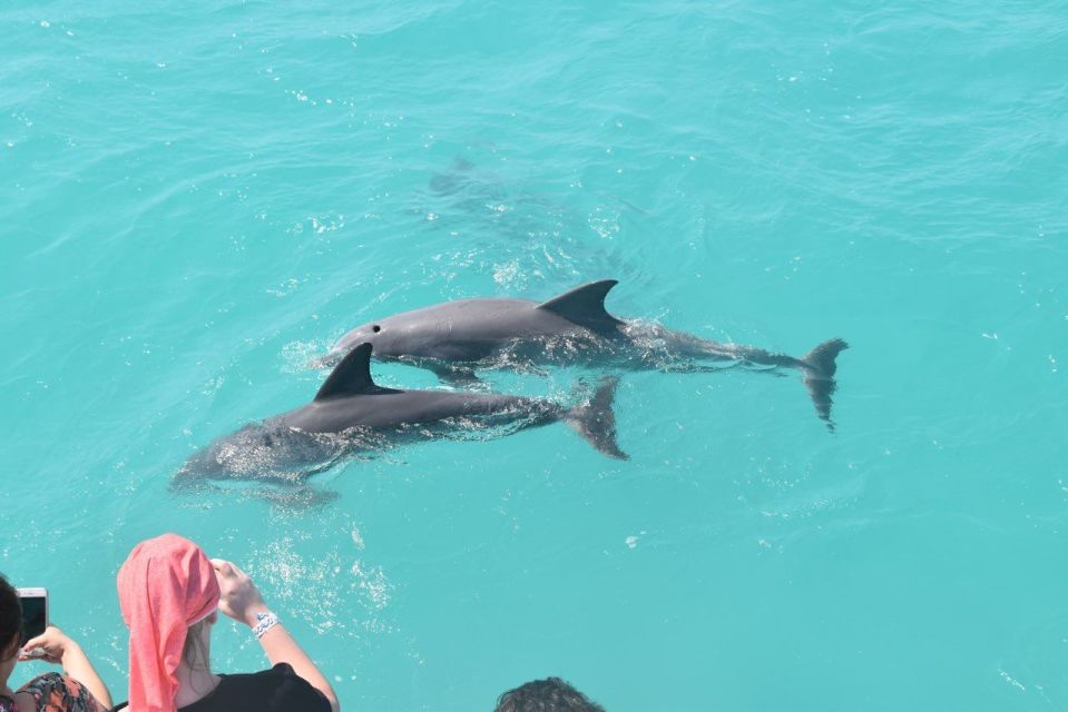 Key West: Dolphin & Snorkel Boat Tour With Sunset Option - Booking Information