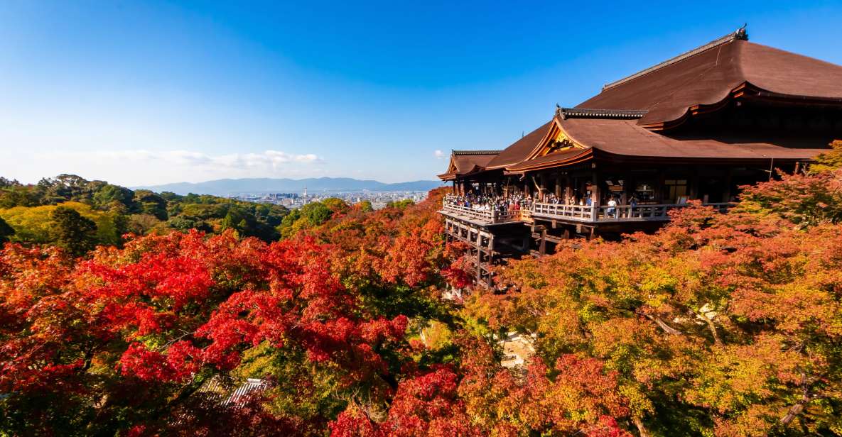 Kiyomizu Temple and Backstreet of Gion Half Day Group Tour - Booking Information