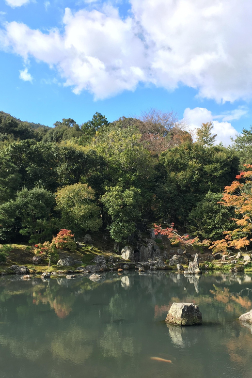 Kyoto: Arashiyama Bamboo Grove, Monkey Mountain Walking Tour - Experience Highlights