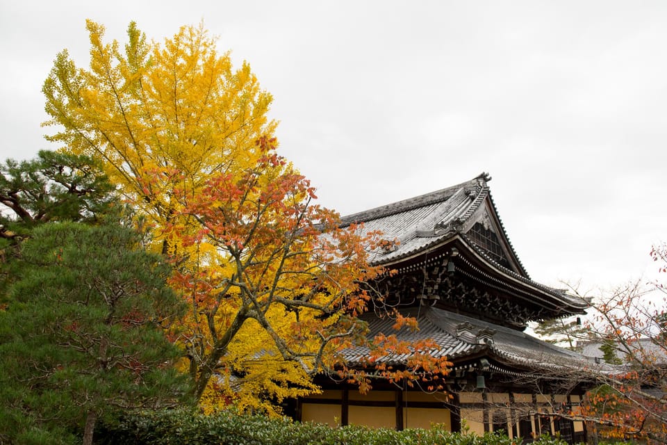 Kyoto: Authentic Biking Half Day Experience - Itinerary and Highlights