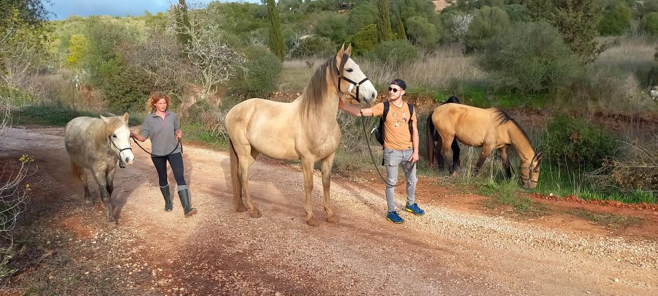 Lagos: a Walk With a Rescued Horse at the Sanctuary - Experience Highlights