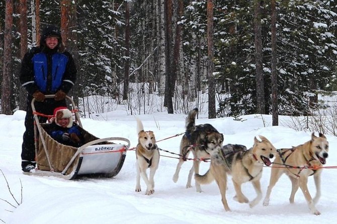 Lapland Reindeer and Husky Safari From Levi - Reindeer-drawn Sled Ride