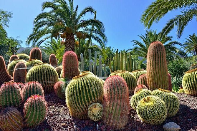 Las Palmas, Botanical Garden & Bandama Crater Tour - Gran Canaria - Inclusions and Exclusions