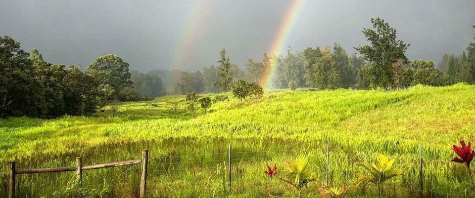 Laupahoehoe: Farm Animal Sanctuary Private Tour - Experience Highlights