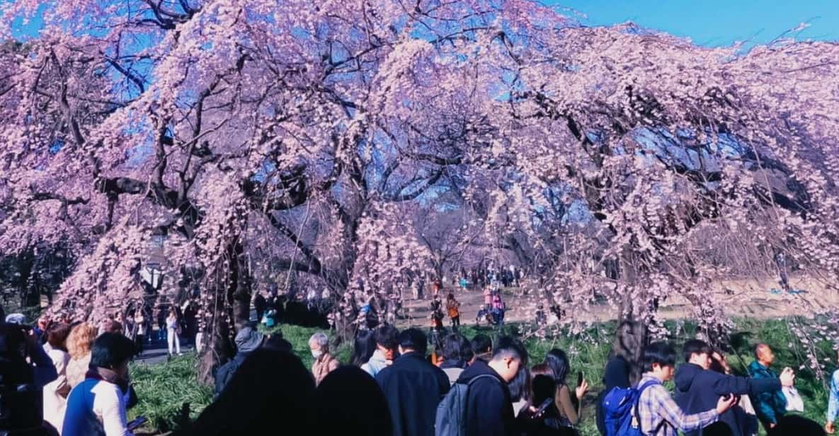 Licensed Guide Shinjuku Dramatic Tour Day Time - Duration and Price