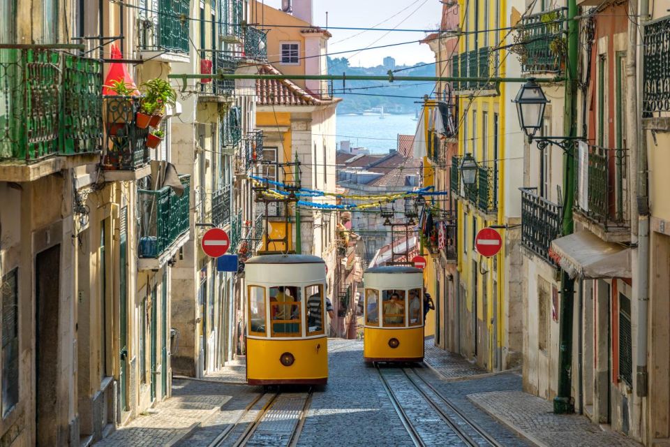 Lisbon Walking Tour + 3 Wine Tastings - Portuguese and Port Wines