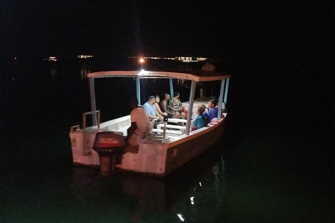 Luminous Lagoon Night Tour From Montego Bay - Pickup Details