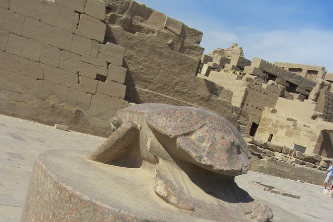 Luxor Full Day Private Tour: West Bank & East Bank - Temples & Tombs - Accessibility