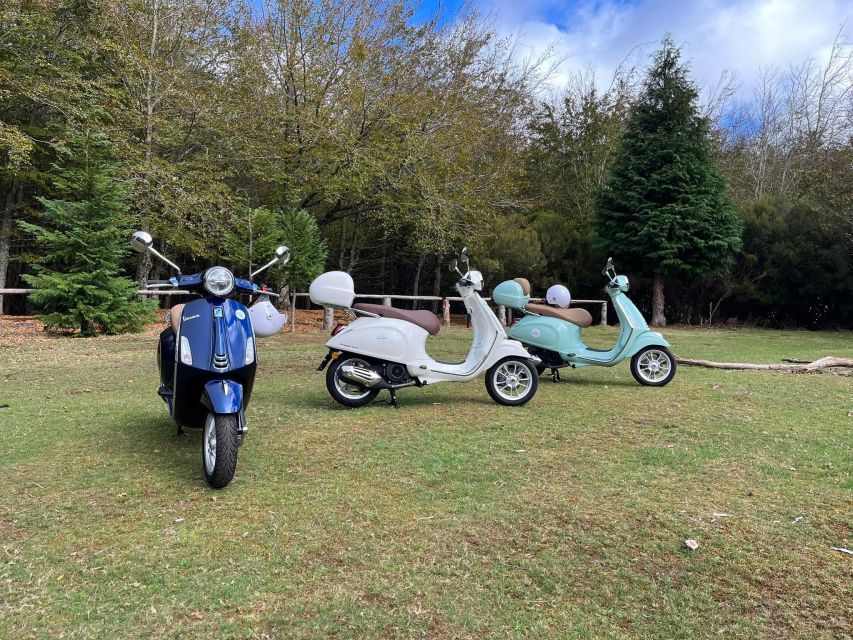 Madeira Island 24h Vespa Primavera 125cc Rental - Experience and Highlights