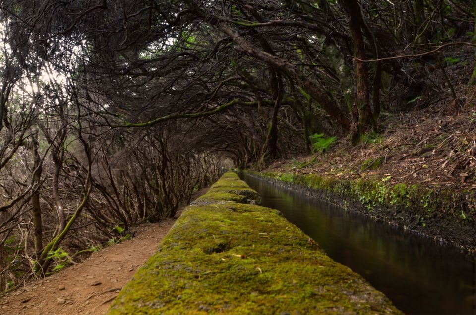 Madeira Walks - Rabaçal and the 25 Fountains - Highlights of the Experience