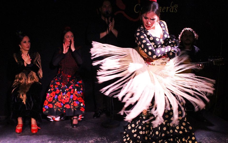 Madrid: Flamenco Show With Tapas and Wine Tour - Culinary Highlights