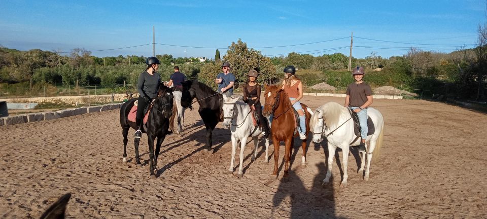 Mallorca: Mallorca Sunset, Randa Valley. - Experience Details