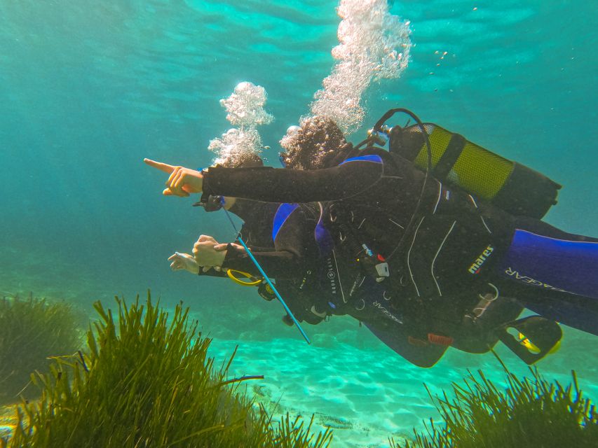 Mallorca: Private Beginner Scuba Dive With Photos and Video - Instruction and Safety