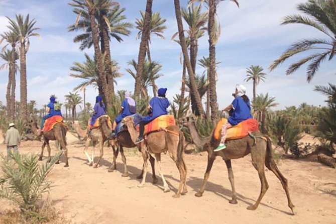 Marrakech Camel Ride Experience With Pick-Up - Camel Ride Through Palm Groves