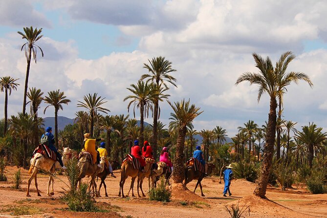 Marrakech Camel Ride in Palmeraie - Inclusions and Highlights