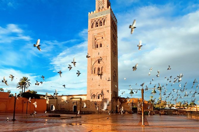 Marrakech Sightseeing Tour With Driver - Inclusions