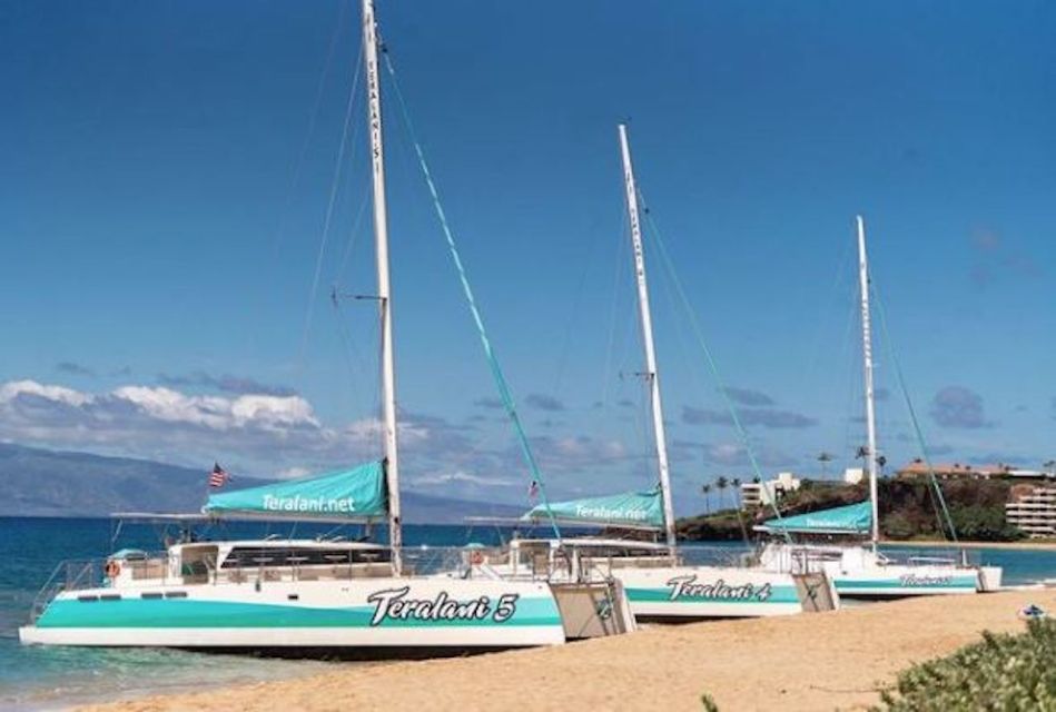 Maui: Kaanapali Wild Dolphin Sail - Experience Highlights