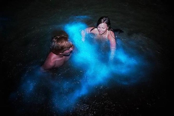 Mesmerizing Luminous Lagoon (Glistening Waters) Night Tour - Phosphorescent Phytoplankton Phenomenon