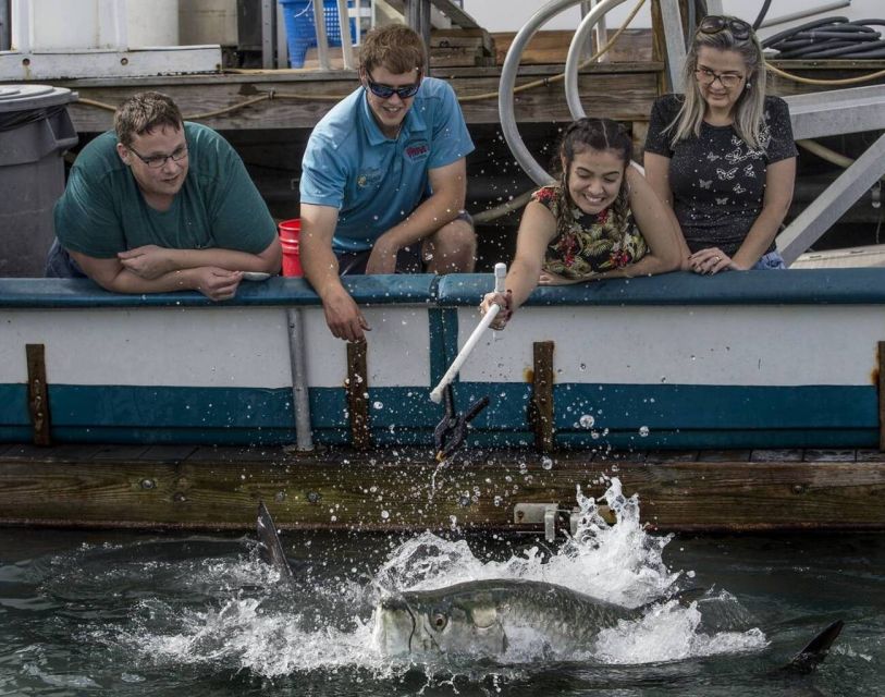 Miami: Giant Fish Feeding Experience - Feeding Experience Details