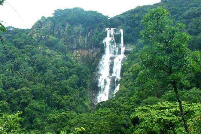 Mikumi National Park & Udzungwa Water Falls 3 Days Group Tour - Pick-up Details