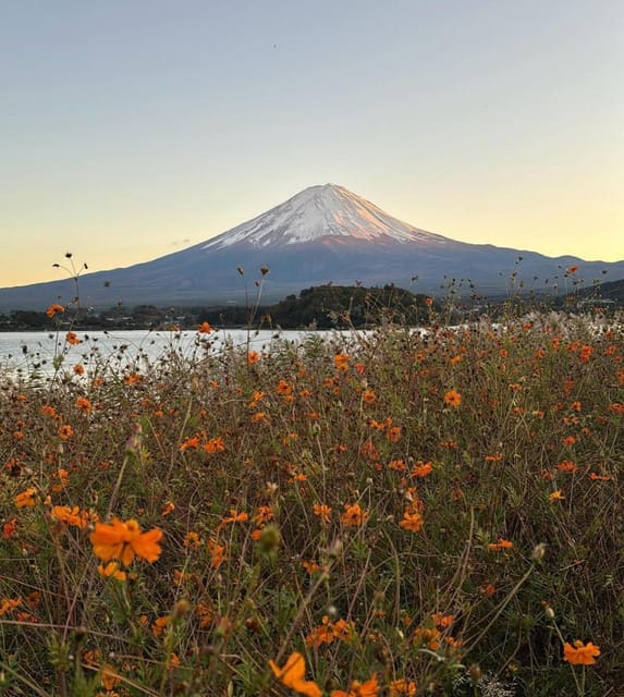 Mount Fuji Customizable Day Tour With English Guide - Itinerary Highlights