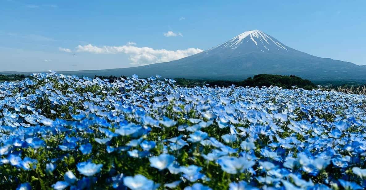 Mount Fuji Full Day Private Trip With English Speak Driver - Itinerary Highlights