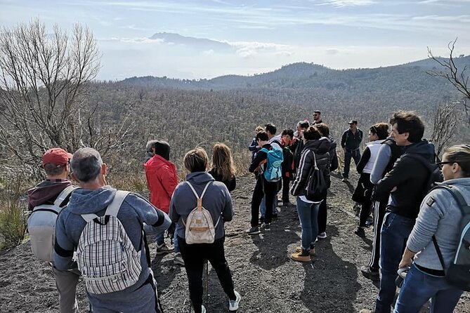 Mount Vesuvius Tour by Bus and Ticket Included From Ercolano - Meeting Point Details