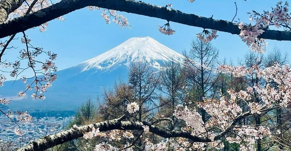 Mt. Fuji and Hakone Lake Ashi Day Tour With Pickup & Dropoff - Itinerary Highlights