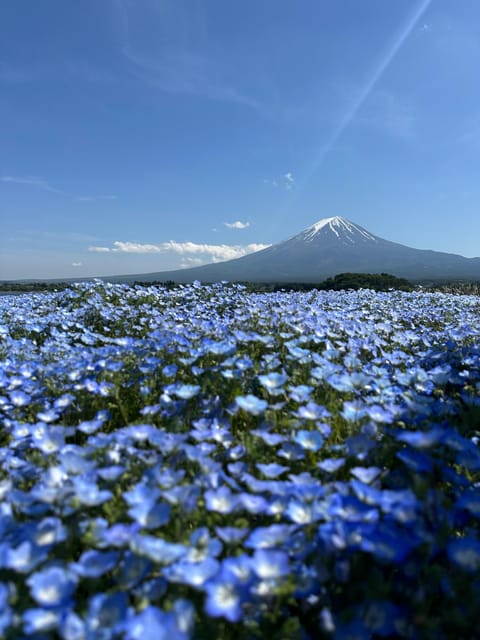 Mt.Fuji Private Tour By Car With English Speaking Guide - Itinerary Highlights