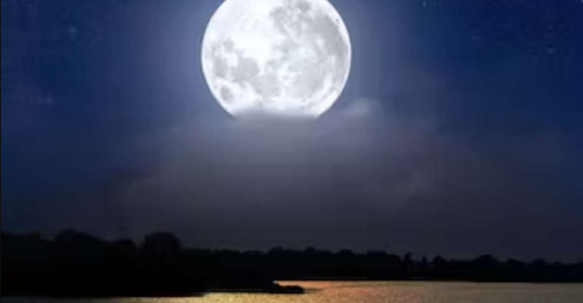 Murrells Inlet Beneath the Moonlight - Experience Highlights